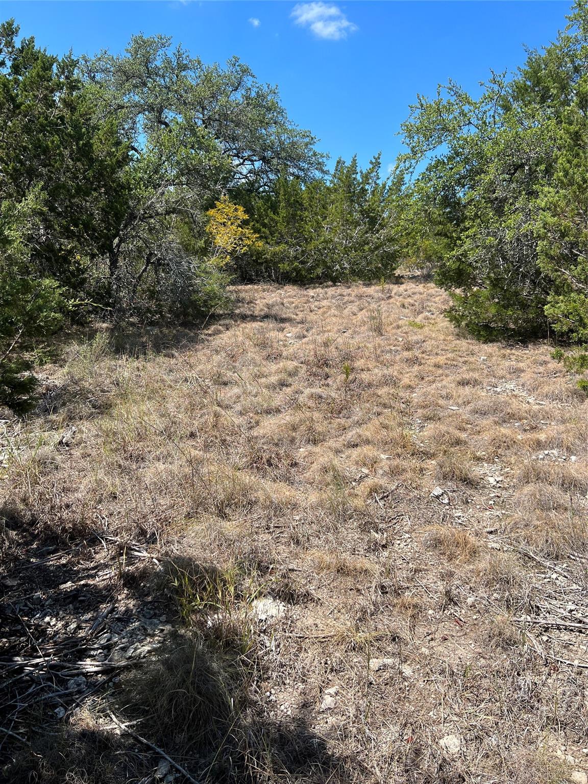 20700  Overland Trl, Lago Vista, TX 78645 — photo 1