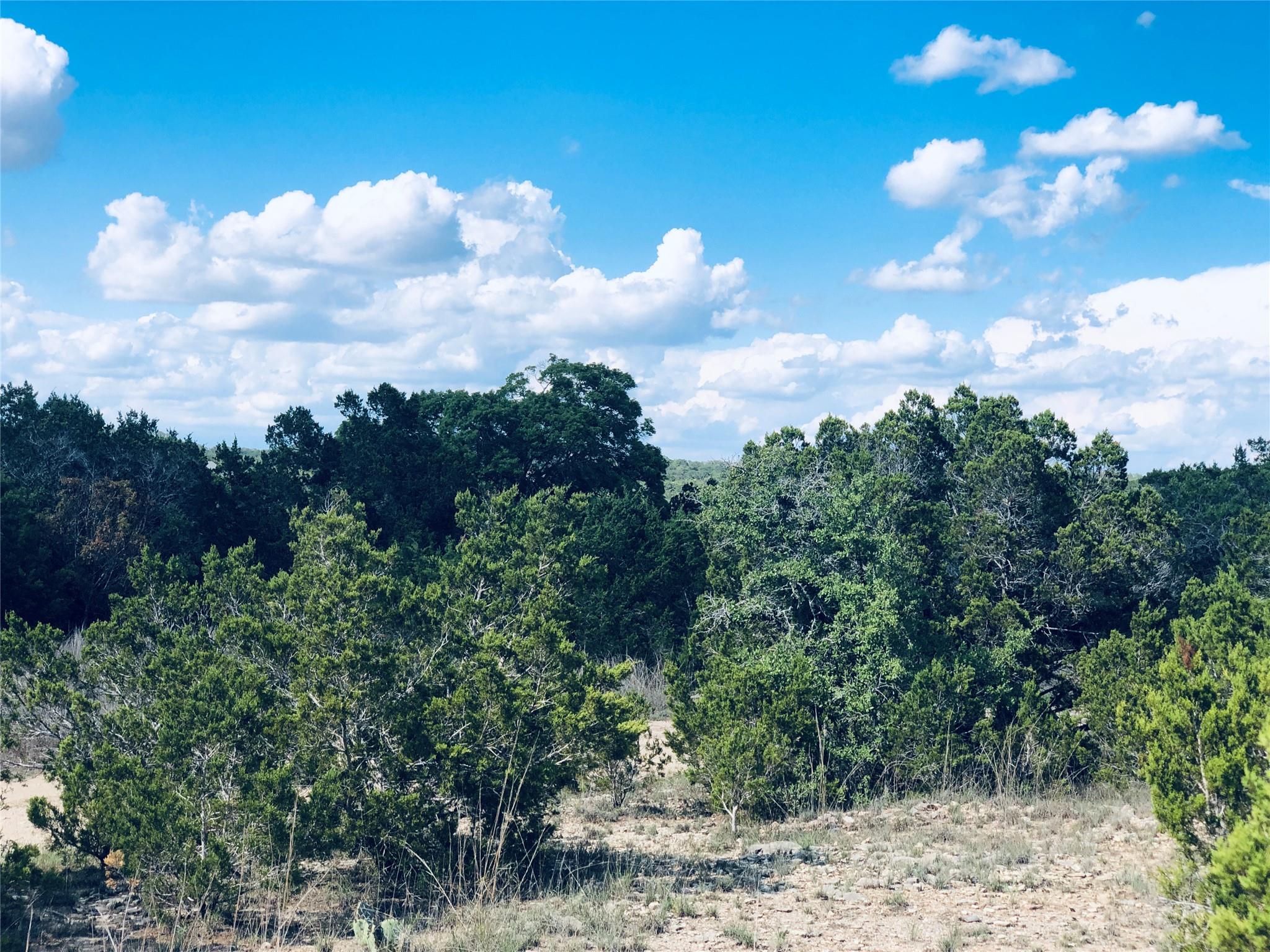 1020 CLIFF CIRCLE, Spring Branch, TX 78070 — photo 1
