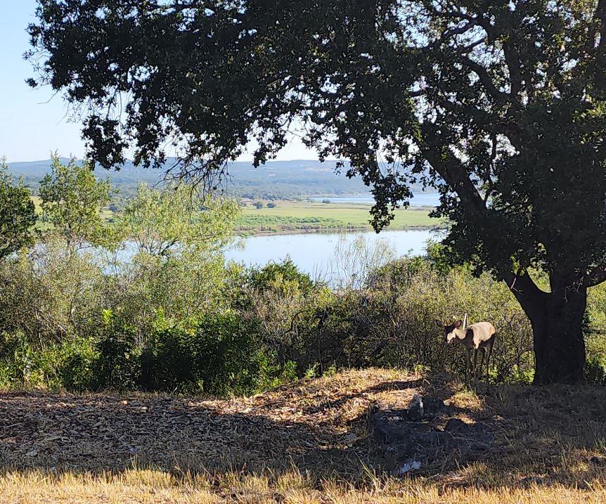 113 (Lot 3B)  Hill Loop, Spicewood, TX 78669 — photo 1