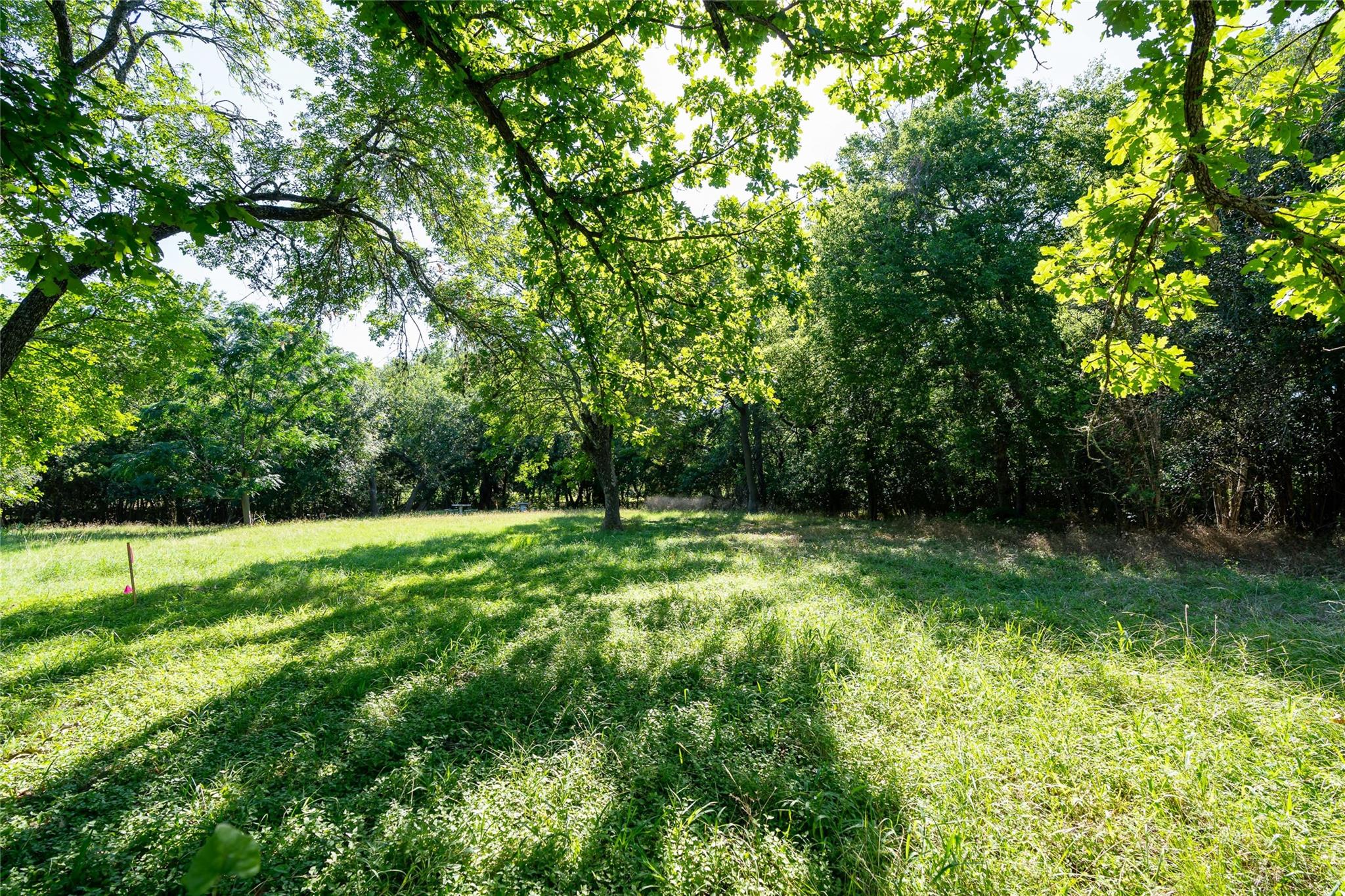 505 N Commerce St, Lockhart, TX 78644 — photo 1