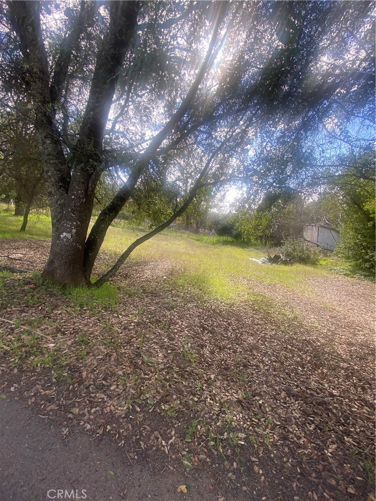 7005 Marin Street, Nice, CA 95464 — photo 1