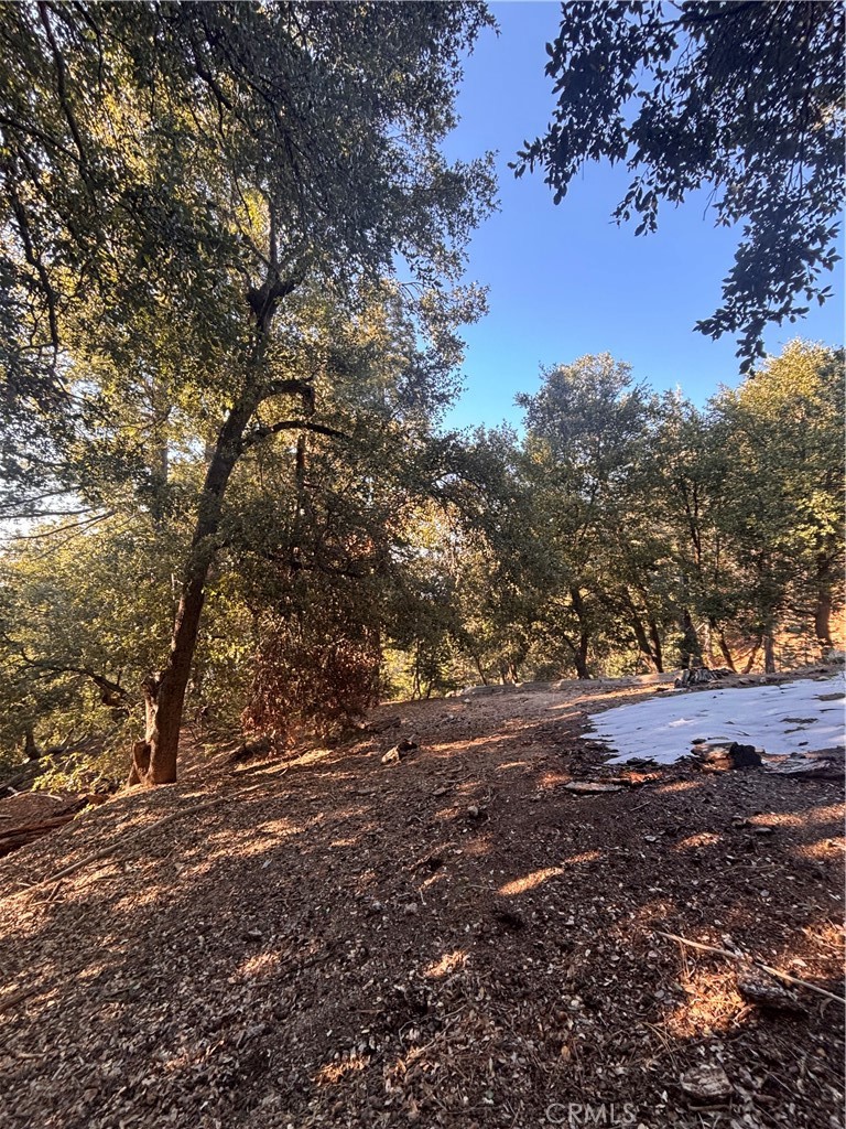 0 North Rd, Twin Peaks, CA 92391 — photo 1