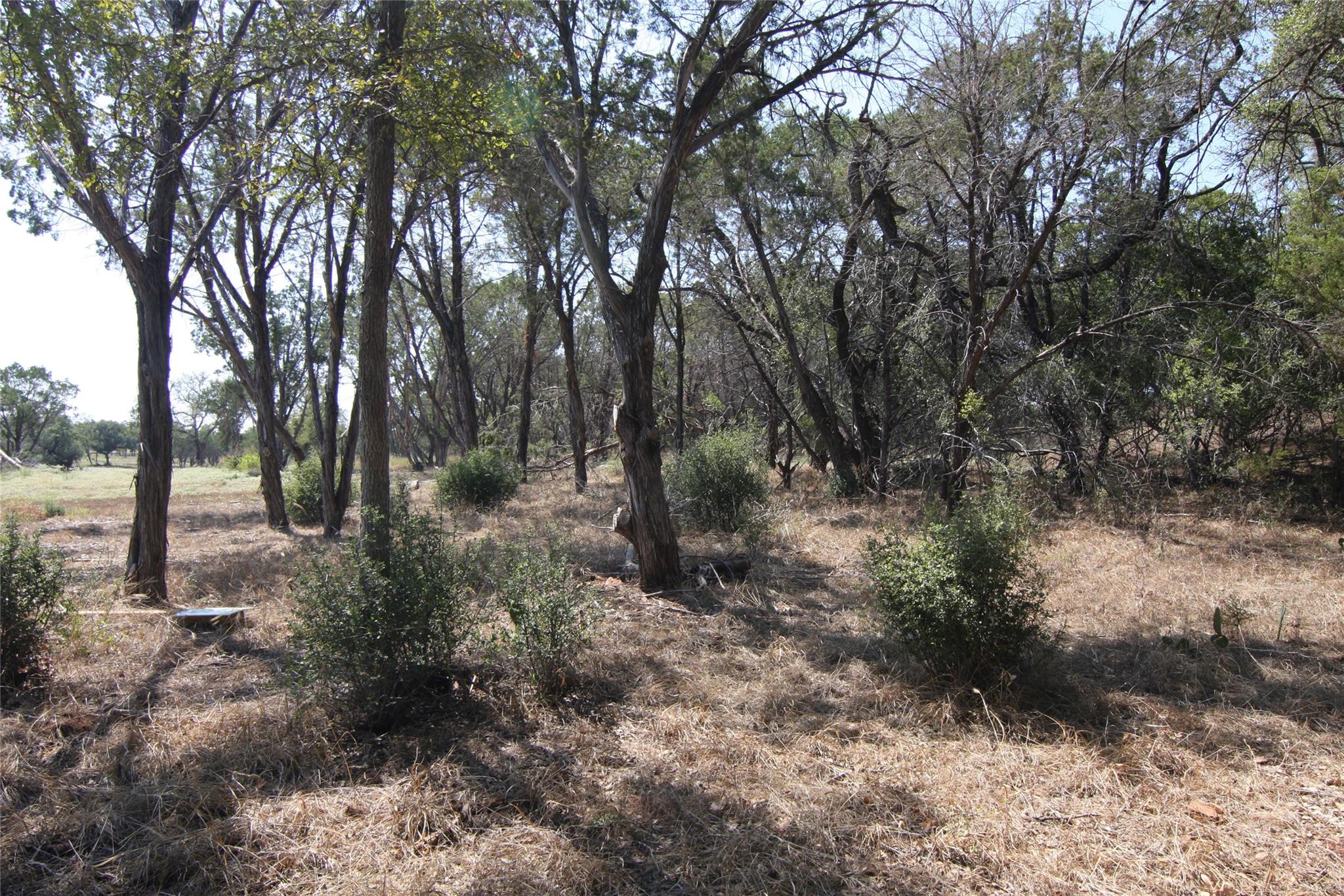 LOT 78 Laurel Wood, Spicewood, TX 78669 — photo 1