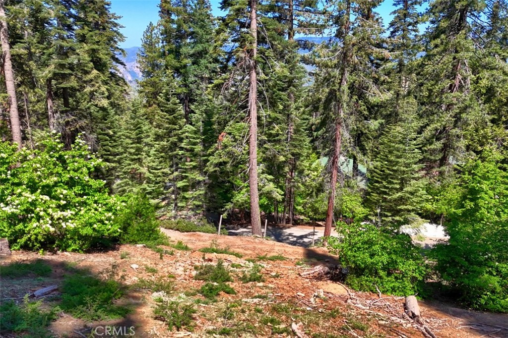 7420 Henness Ridge Road, Yosemite, CA 95389 — photo 1