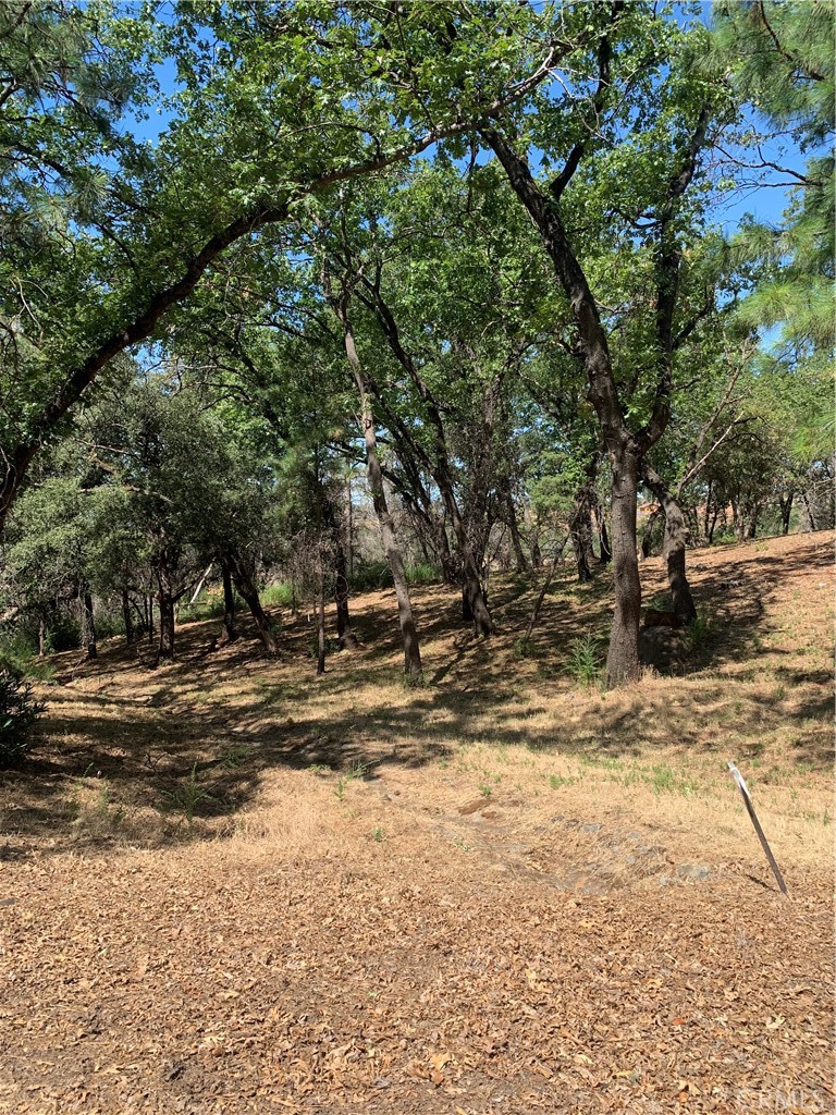 4896 Malibu Drive, Paradise, CA 95969 — photo 1