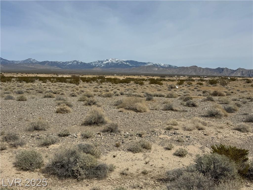 731 North Emery Street, Pahrump, NV 89060 — photo 1