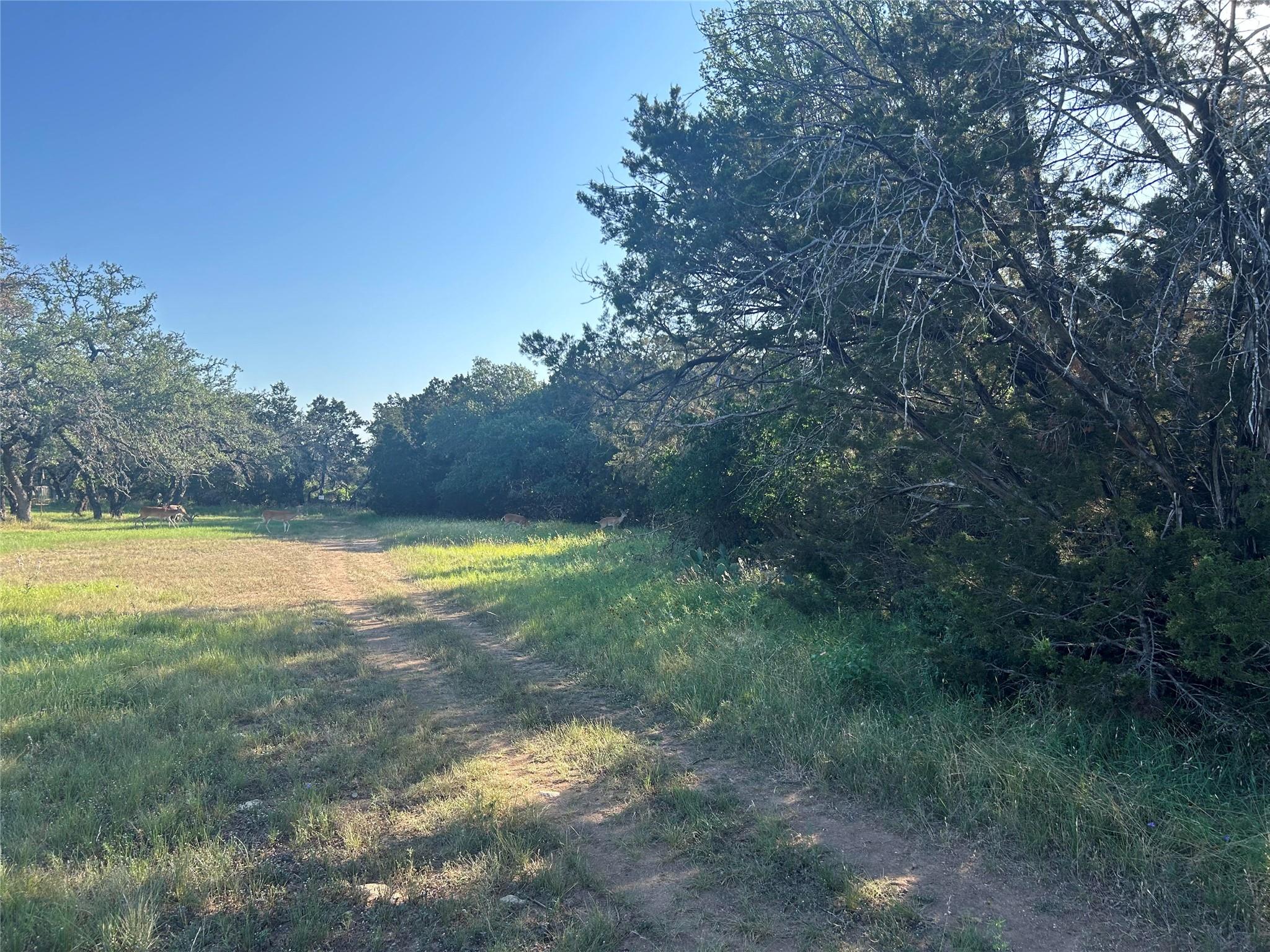 20804 Hawthorne Cv, Lago Vista, TX 78645 — photo 1
