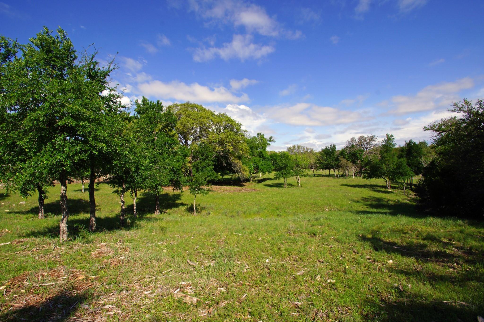 Lot 48 Bridget, Briggs, TX 78608 — photo 1