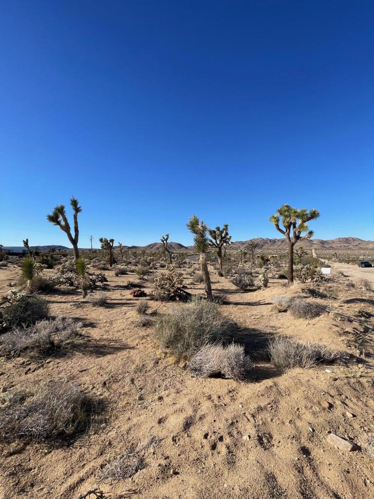 0 Saddleback Road, Joshua Tree, CA 92252 — photo 1