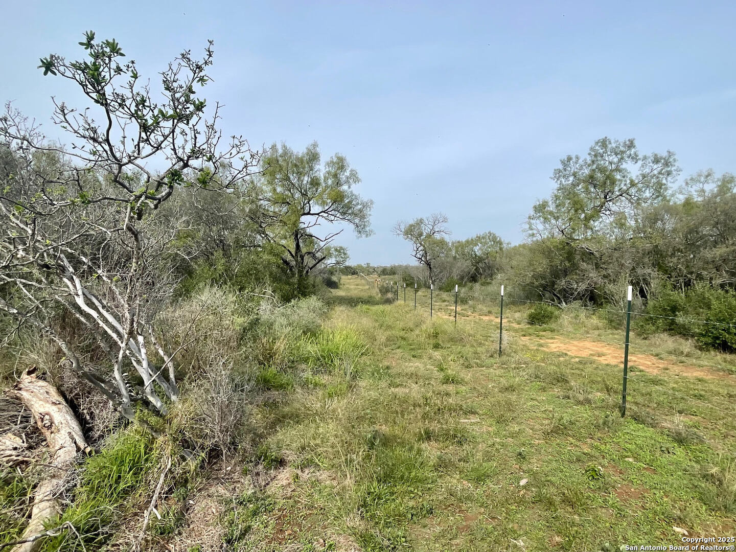 169 county road 1670, Moore, TX 78057 — photo 1
