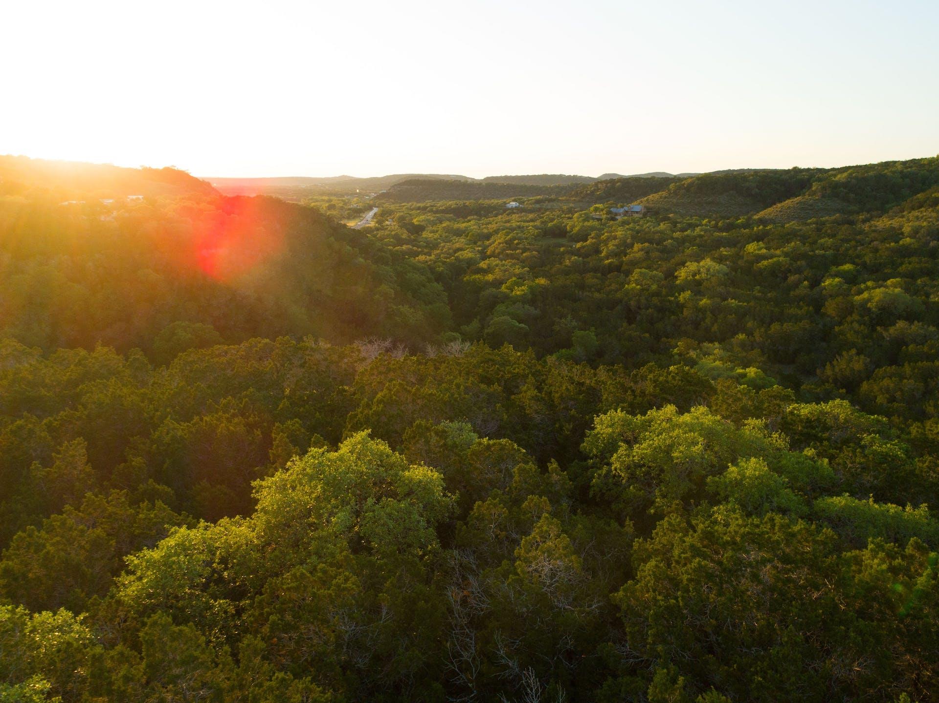 10580  Fm 306 None, New Braunfels, TX 78132 — photo 1