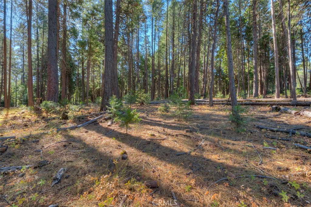 0 Fern Glenn Way, Magalia, CA 95954 — photo 1