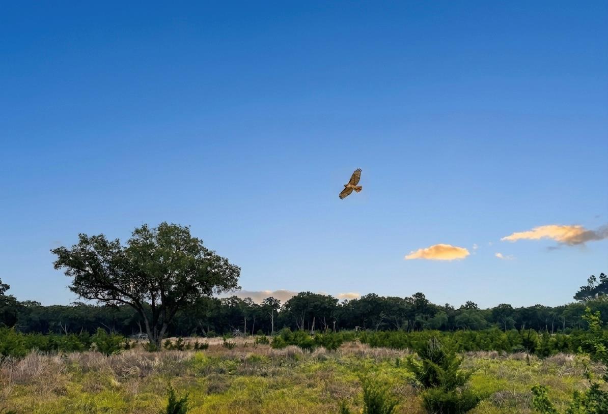 Lot 52 Clearwater Canyon, Bandera, TX 78003 — photo 1