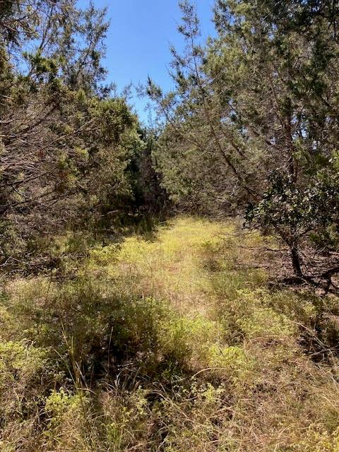 55 York Creek Rd, Driftwood, TX 78619 — photo 1