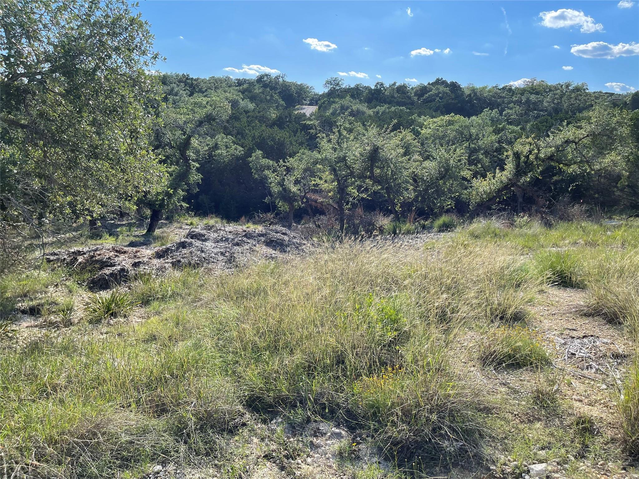 3008 Marshall, Lago Vista, TX 78645 — photo 1