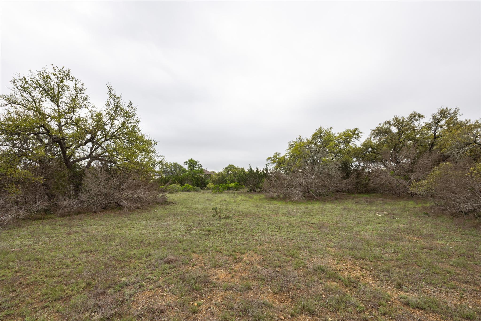 TBD Logan's Way, Blanco, TX 78606 — photo 1