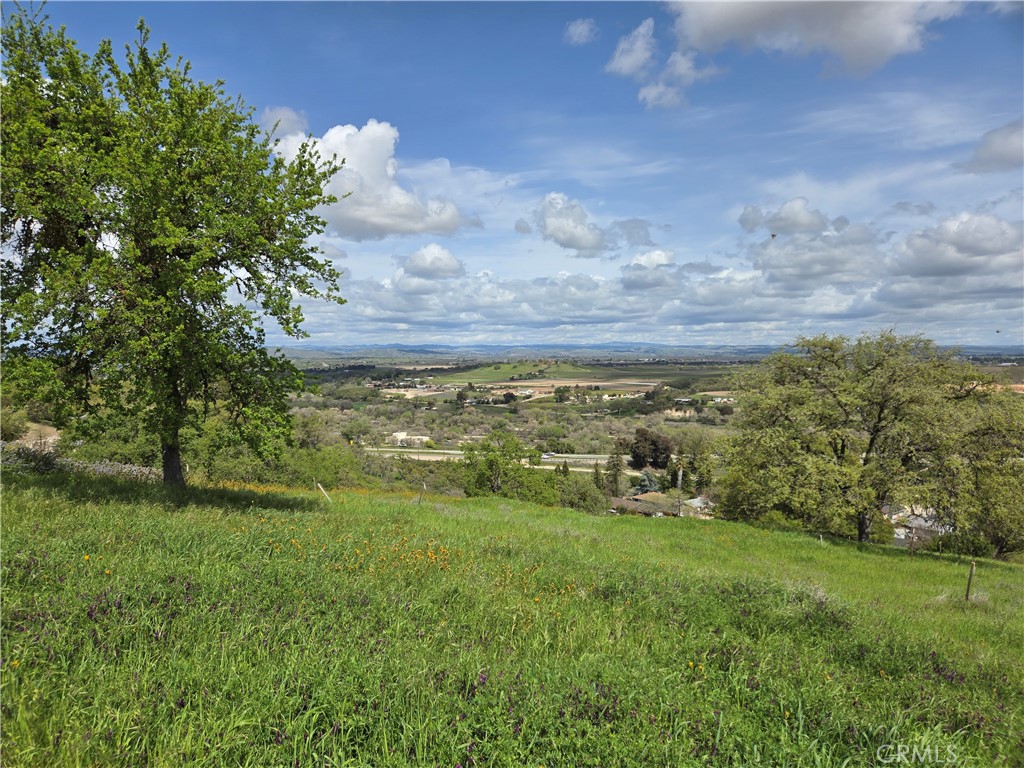 436 Calle Alto Street, Paso Robles, CA 93446 — photo 1