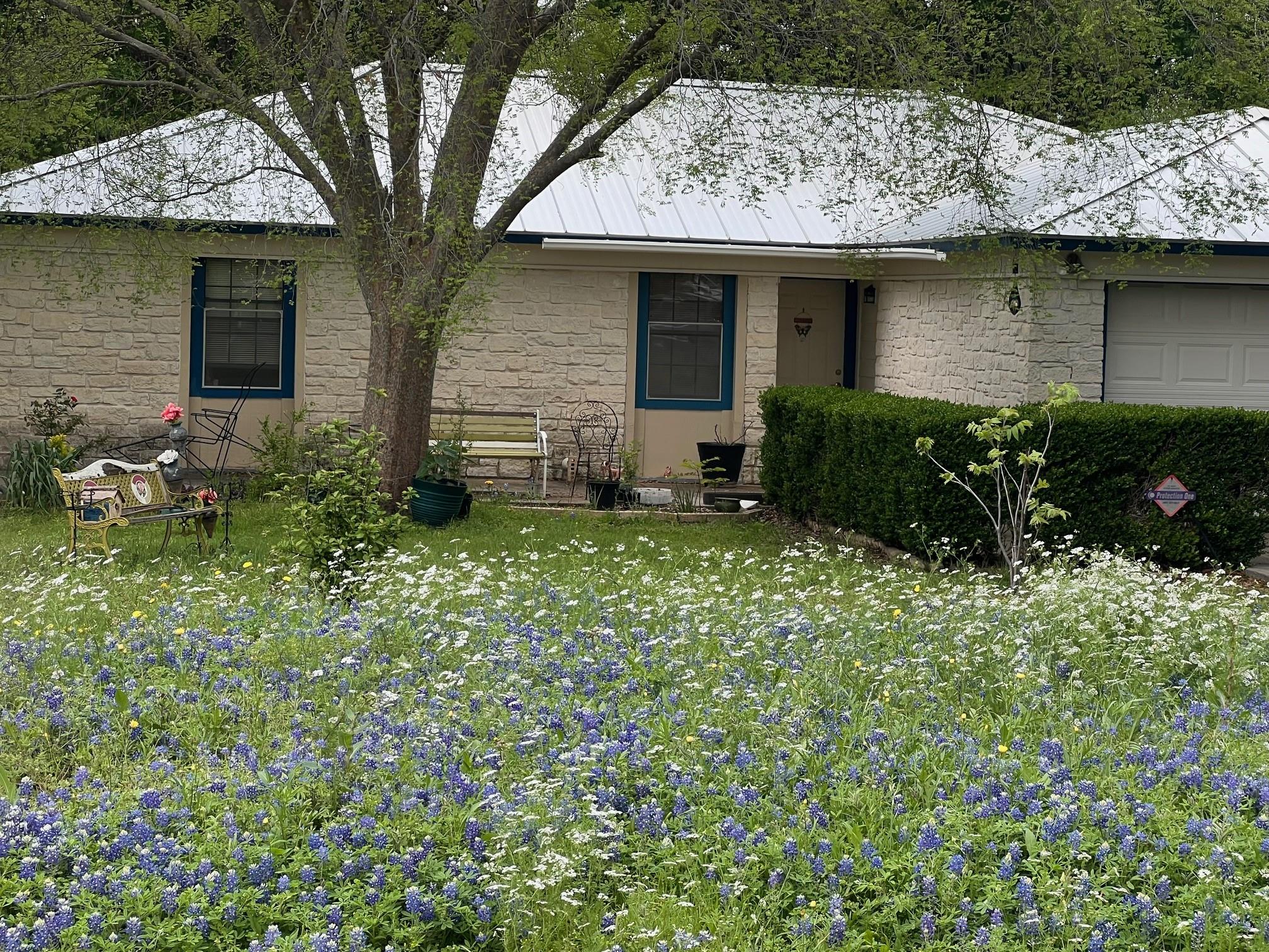 217 GREEN PASTURE, Hutto, TX 78634 — photo 1