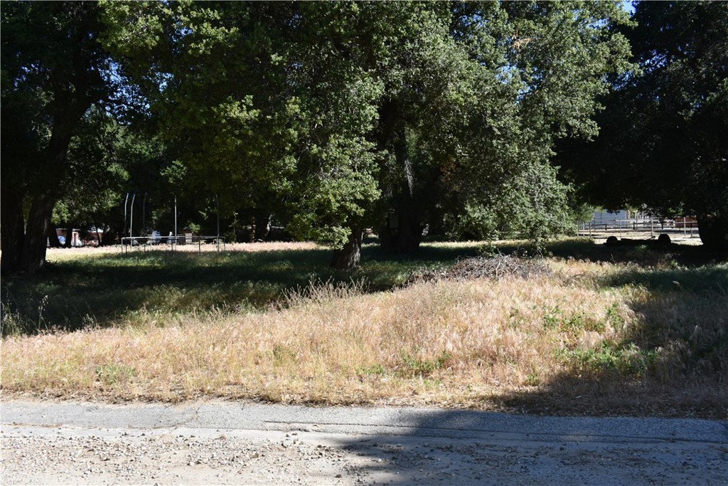 0 Vac/Sn Luis Potosi/Vic Eljorna, Green Valley, CA 91350 — photo 1