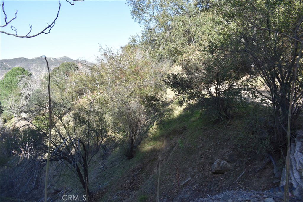 0 Crest Forest Dr, Crestline, CA 92322 — photo 1