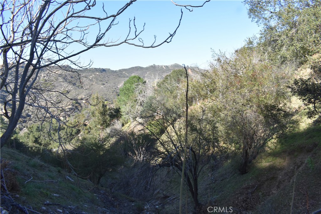 29935 Hickory Dr, Cedar Glen, CA 92321 — photo 1