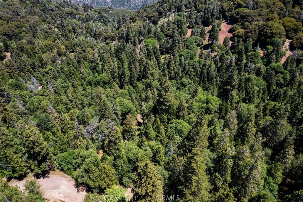 3430247 Mojave View Drive, Cedarpines Park, CA 92322 — photo 1