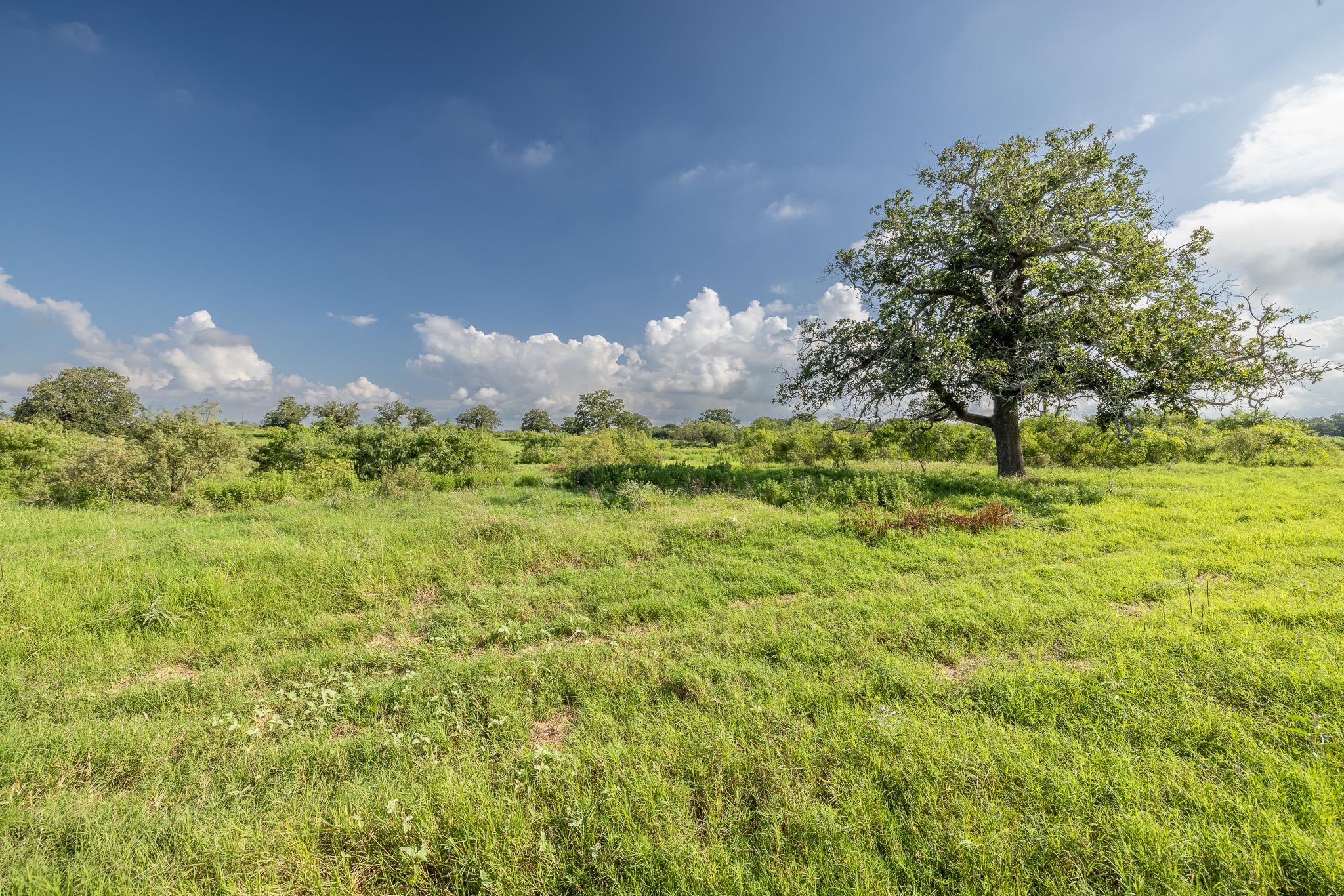 Lot 1-B County Road 491, Gonzales, TX 78629 — photo 1