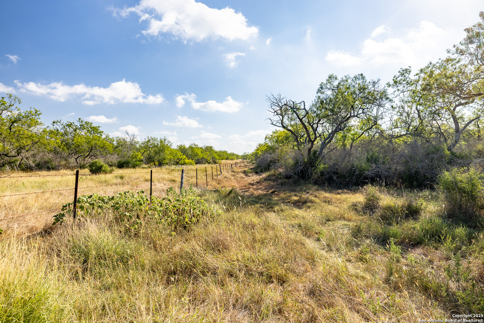 TBD FM 108, Smiley, TX 78159 — photo 1