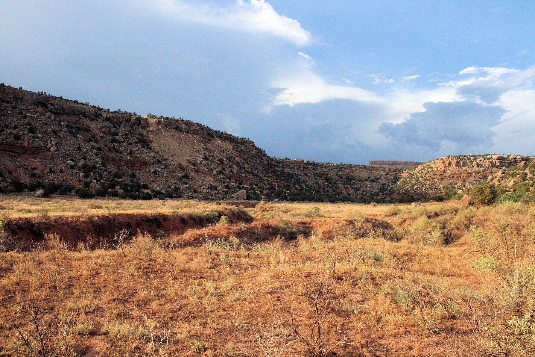 59.39 Acs Dalton Wash RD, Virgin, UT 84779 — photo 1