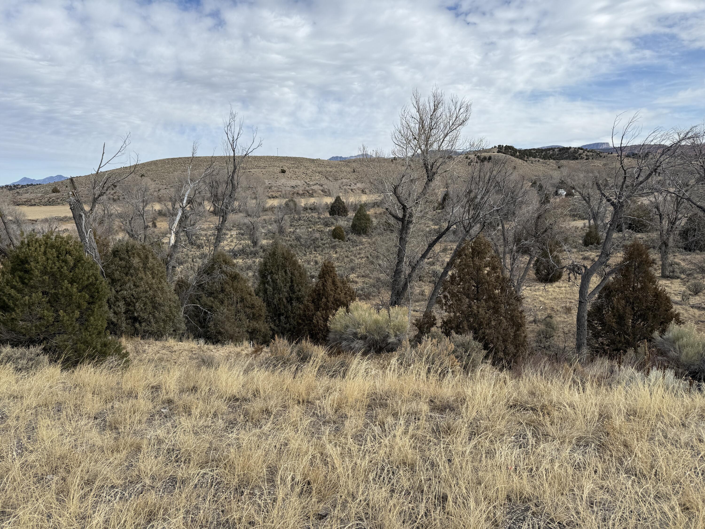 1460 S Rainbow Drive, Panguitch, UT 84759 — photo 1