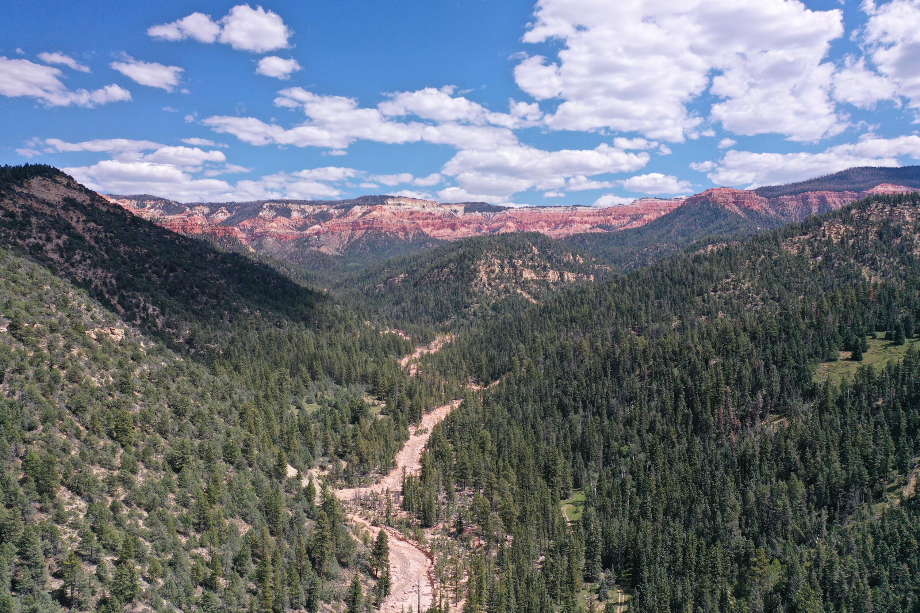 Cedar Mountain Ashdown Gorge, Cedar City, UT 84720 — photo 1