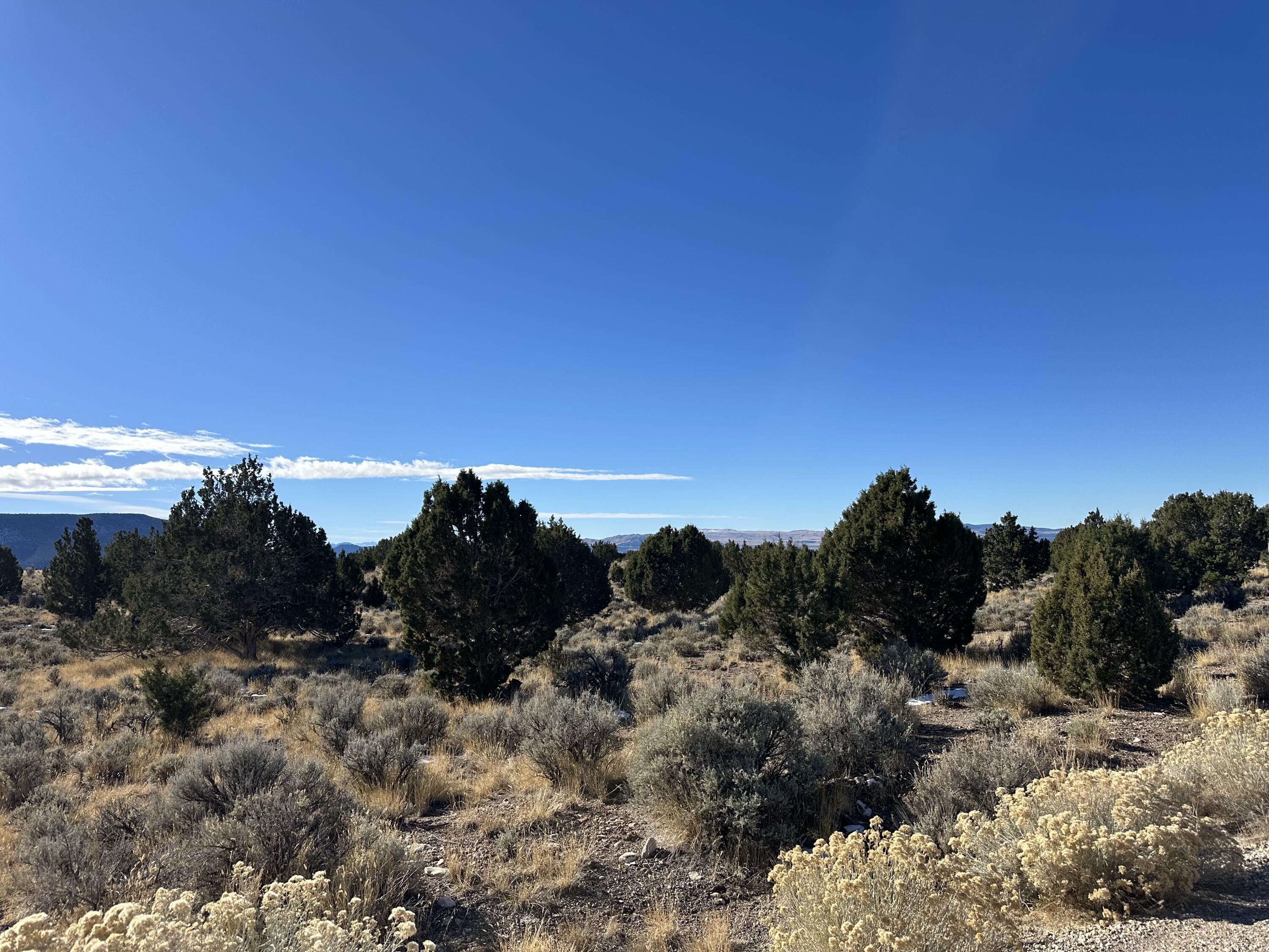 First Springs Road, Beaver, UT 84713 — photo 1