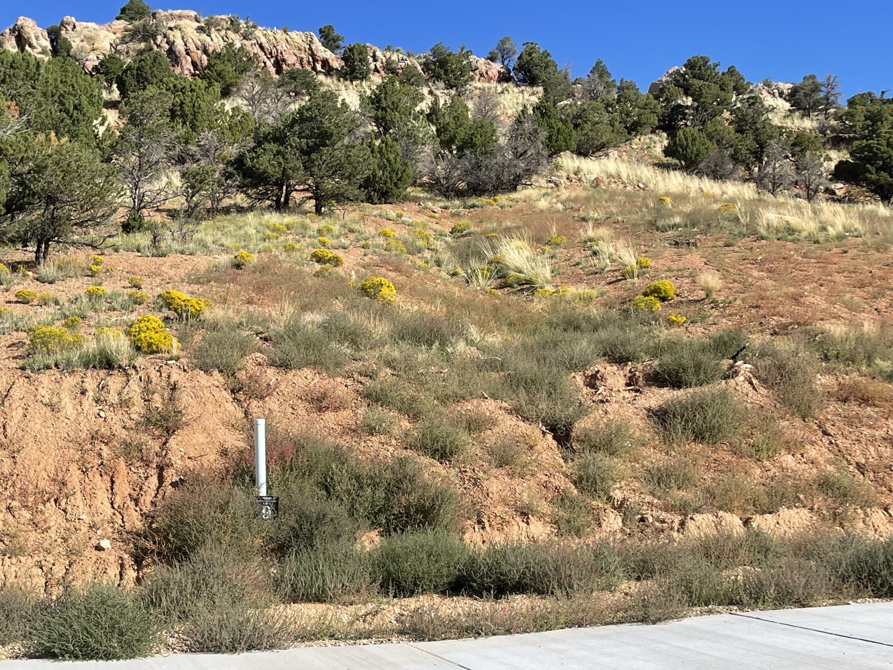 1937 N Pinyon Grove CIR, Cedar City, UT 84721 — photo 1