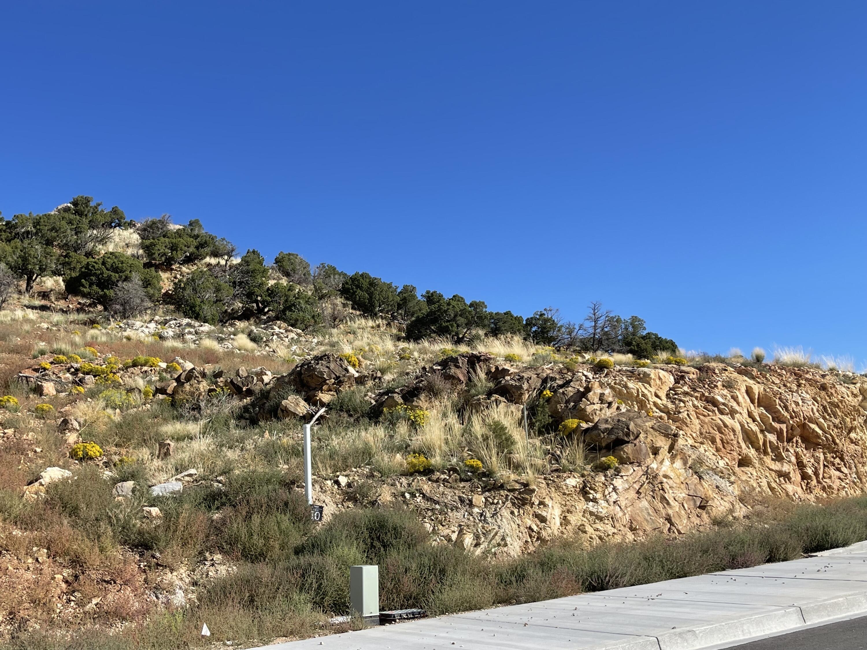 1945 N Pinyon Grove CIR, Cedar City, UT 84721 — photo 1