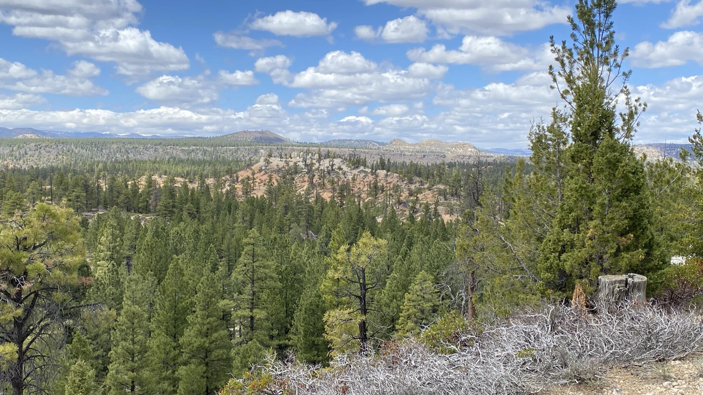 14 N Royal Drive, Duck Creek Village, UT 84762 — photo 1