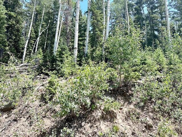 55 S Snow Shoe, Lot 1 Blk B