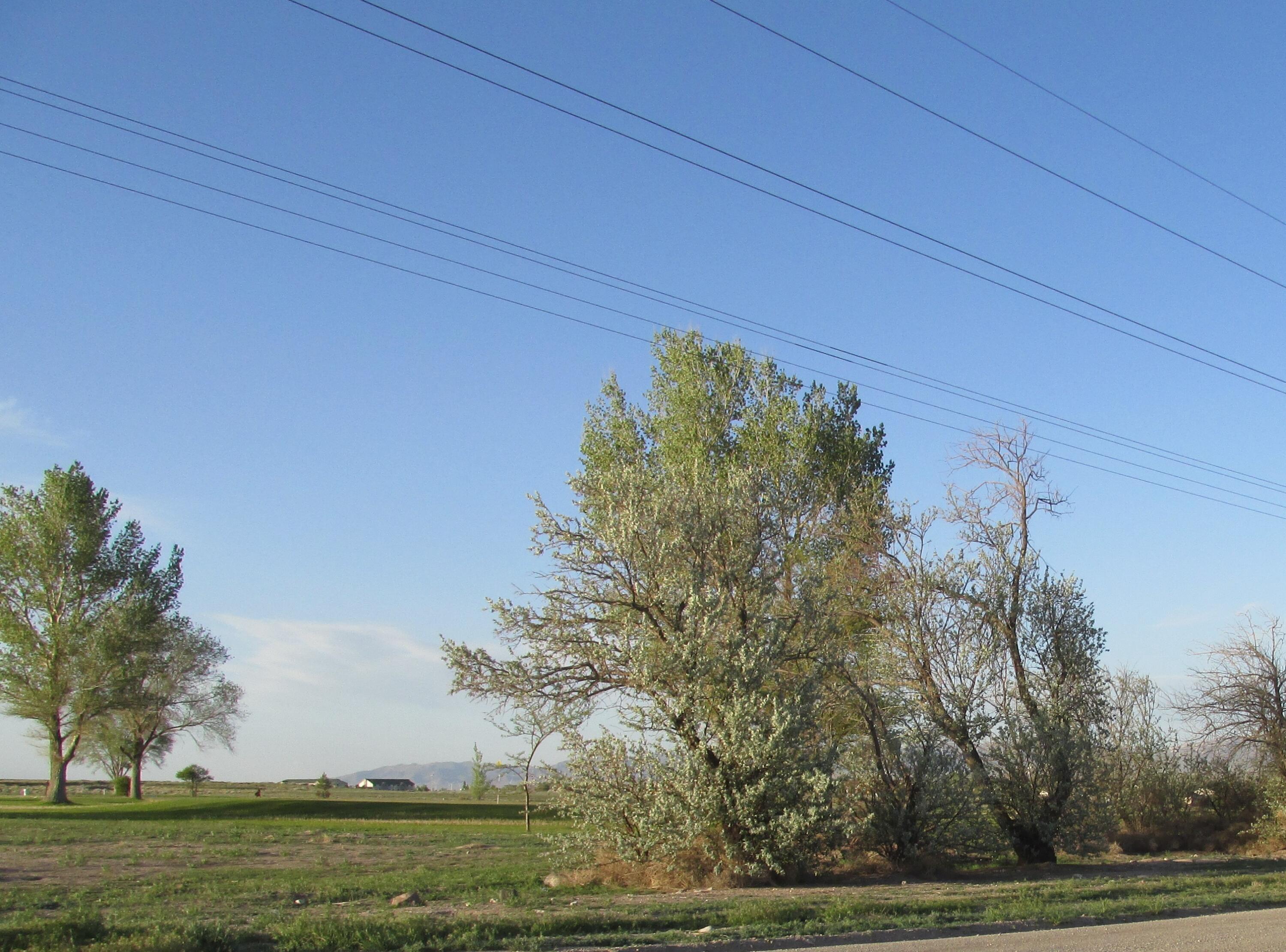 2 Lots SW Corner Golf Course, Milford, UT 84751 — photo 1