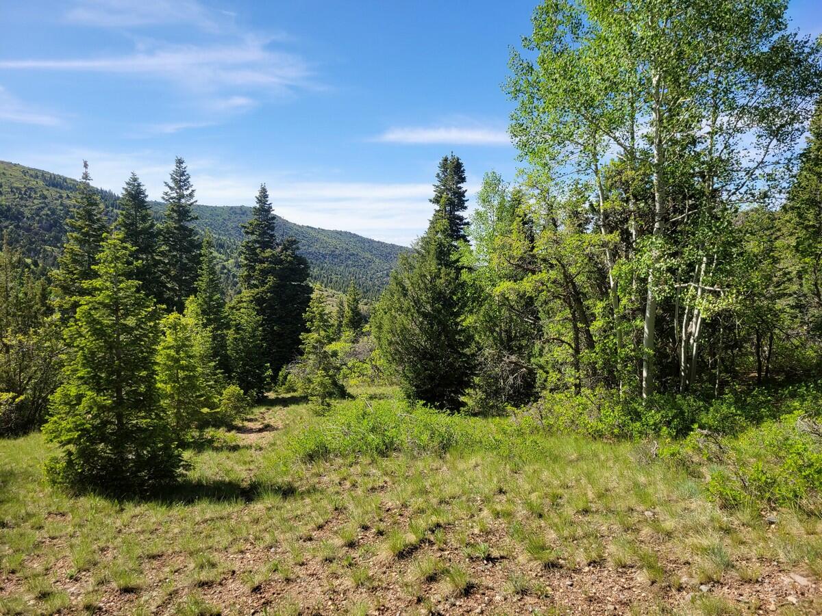 Braffits Creek Lot 61&62