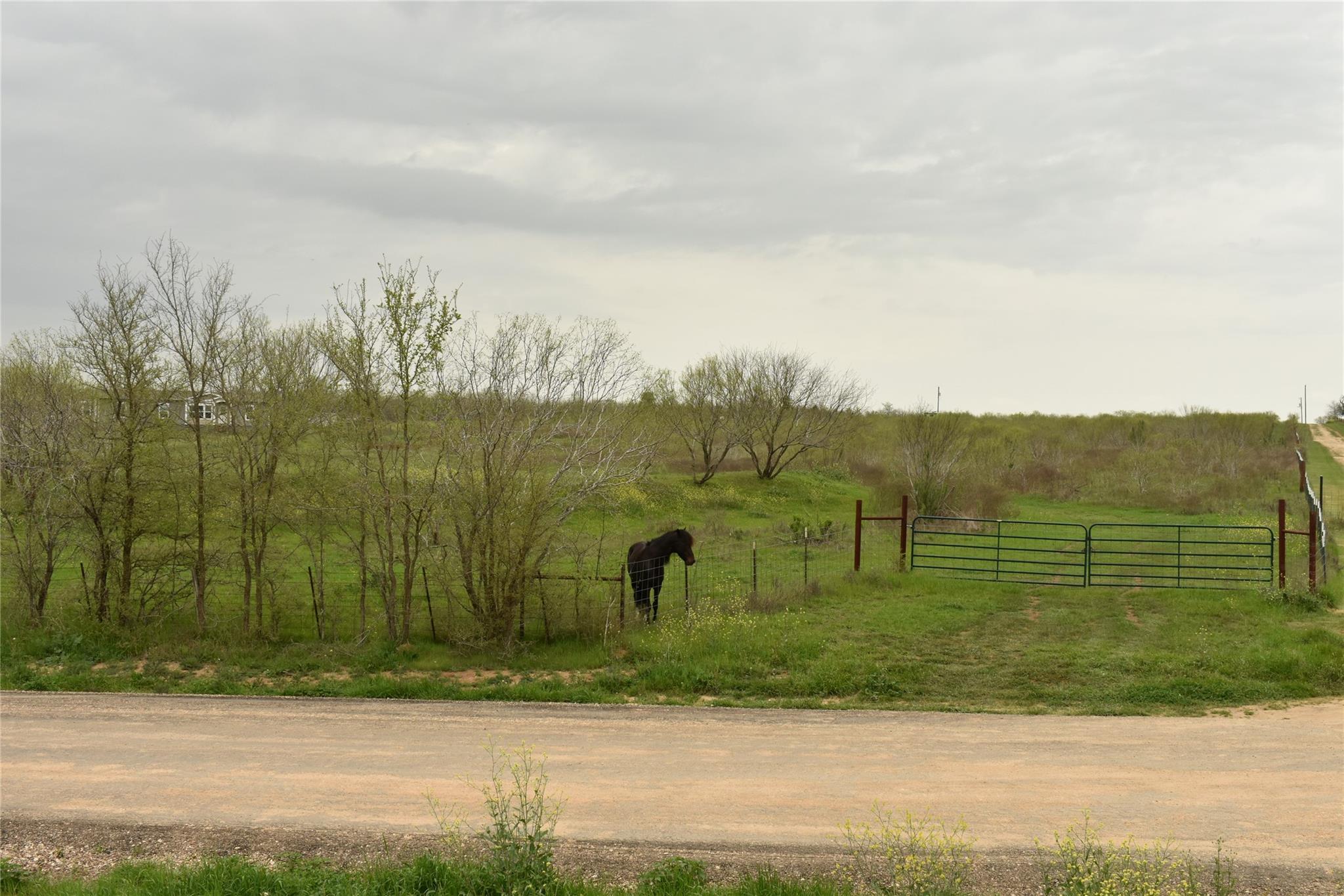 TBD  Anderson Ln, Red Rock, TX 78662 — photo 1