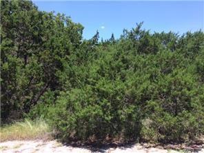 8403 Tawny Cv, Lago Vista, TX 78645 — photo 1