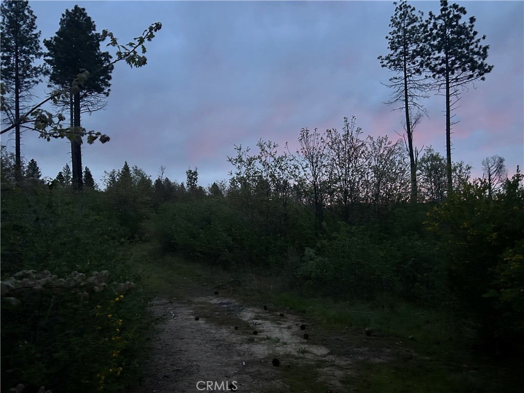 1 hog ranch Road, Concow, CA 95965 — photo 1