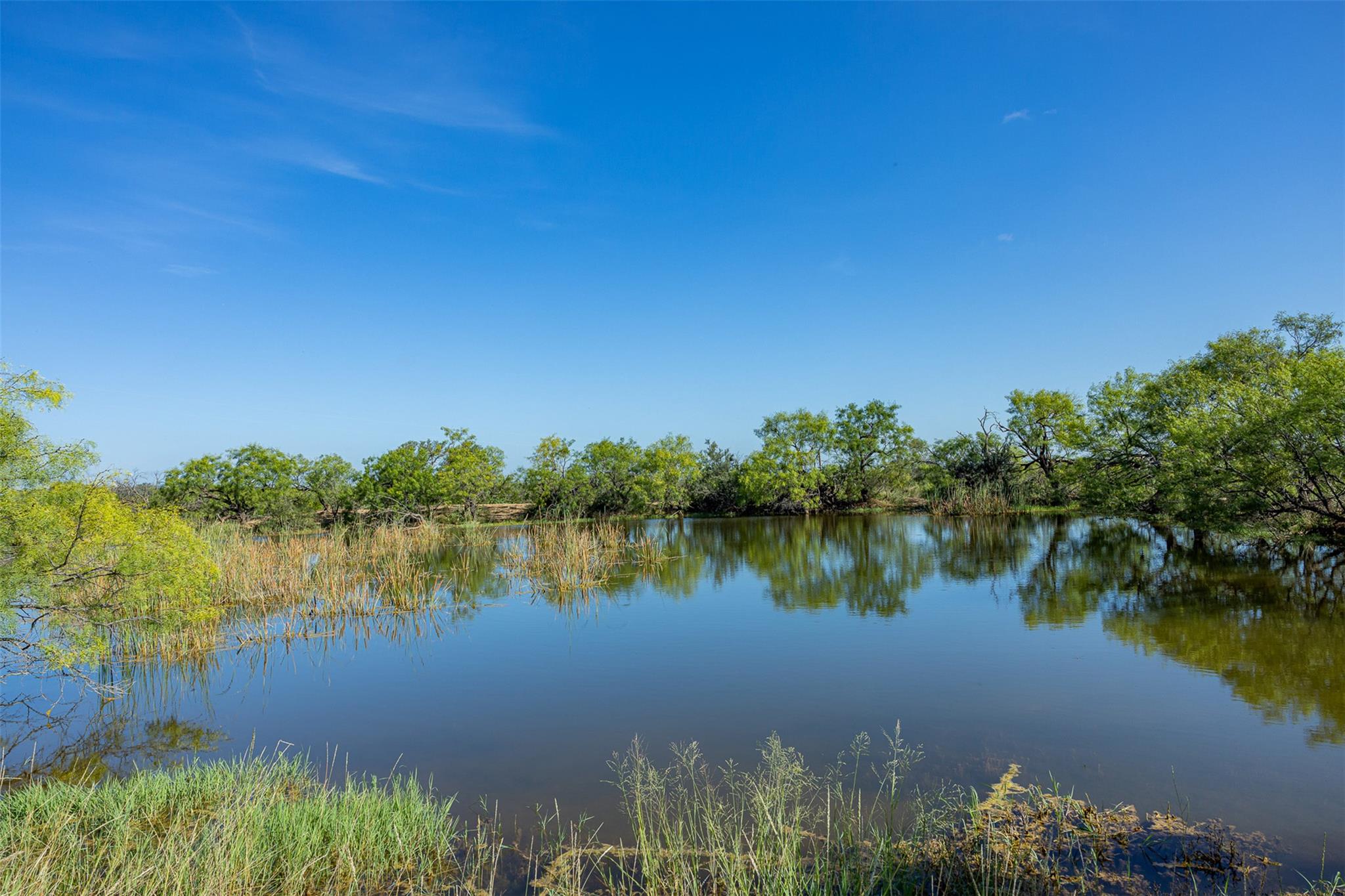 Tract 1 2050 W 17th St, Brady, TX 76825 — photo 1