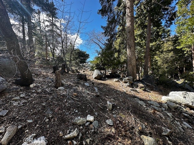 0 Fir, Forest Falls, CA 92339 — photo 1