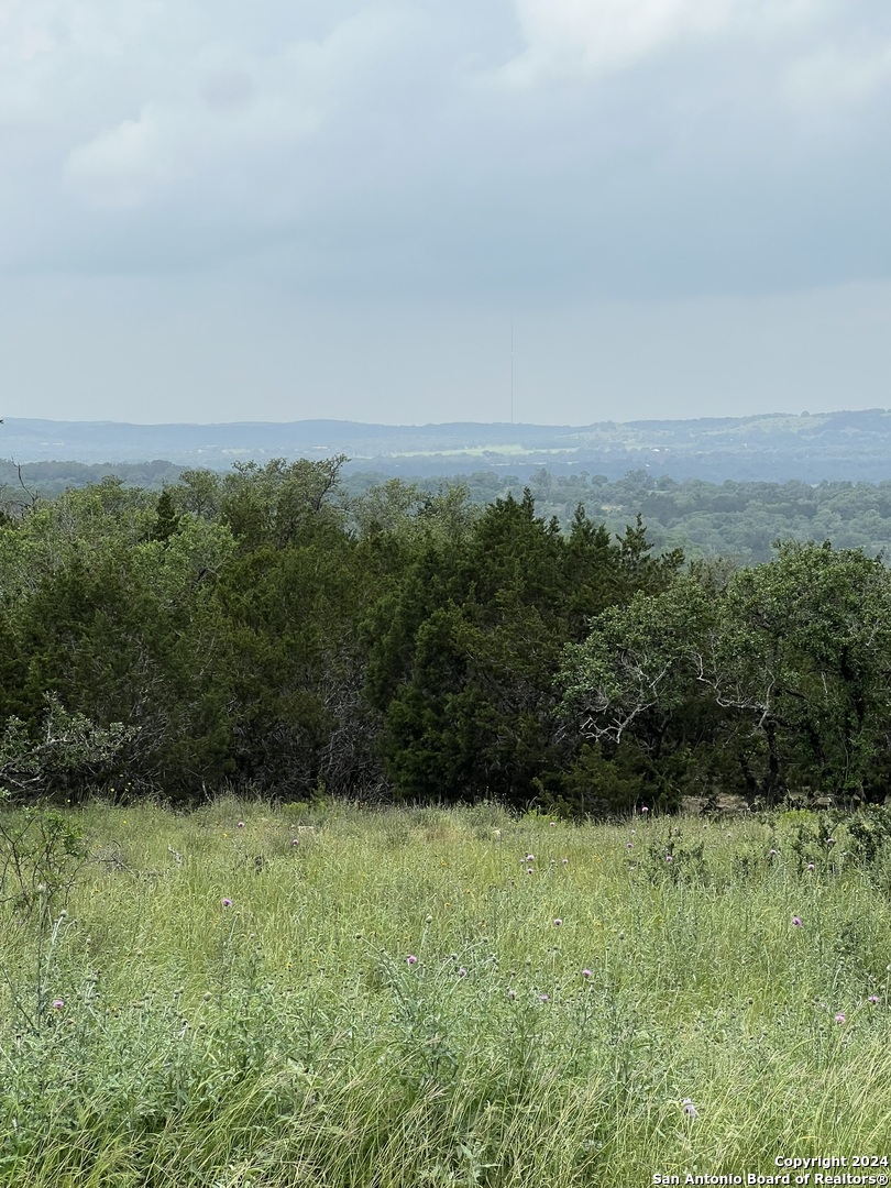 23 Lipan Apache Run, Blanco, TX 78606 — photo 1
