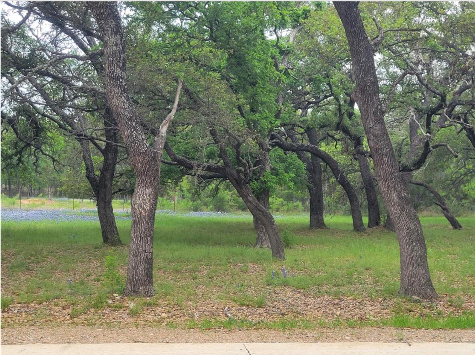 208 Cactus, Horseshoe Bay, TX 78657 — photo 1