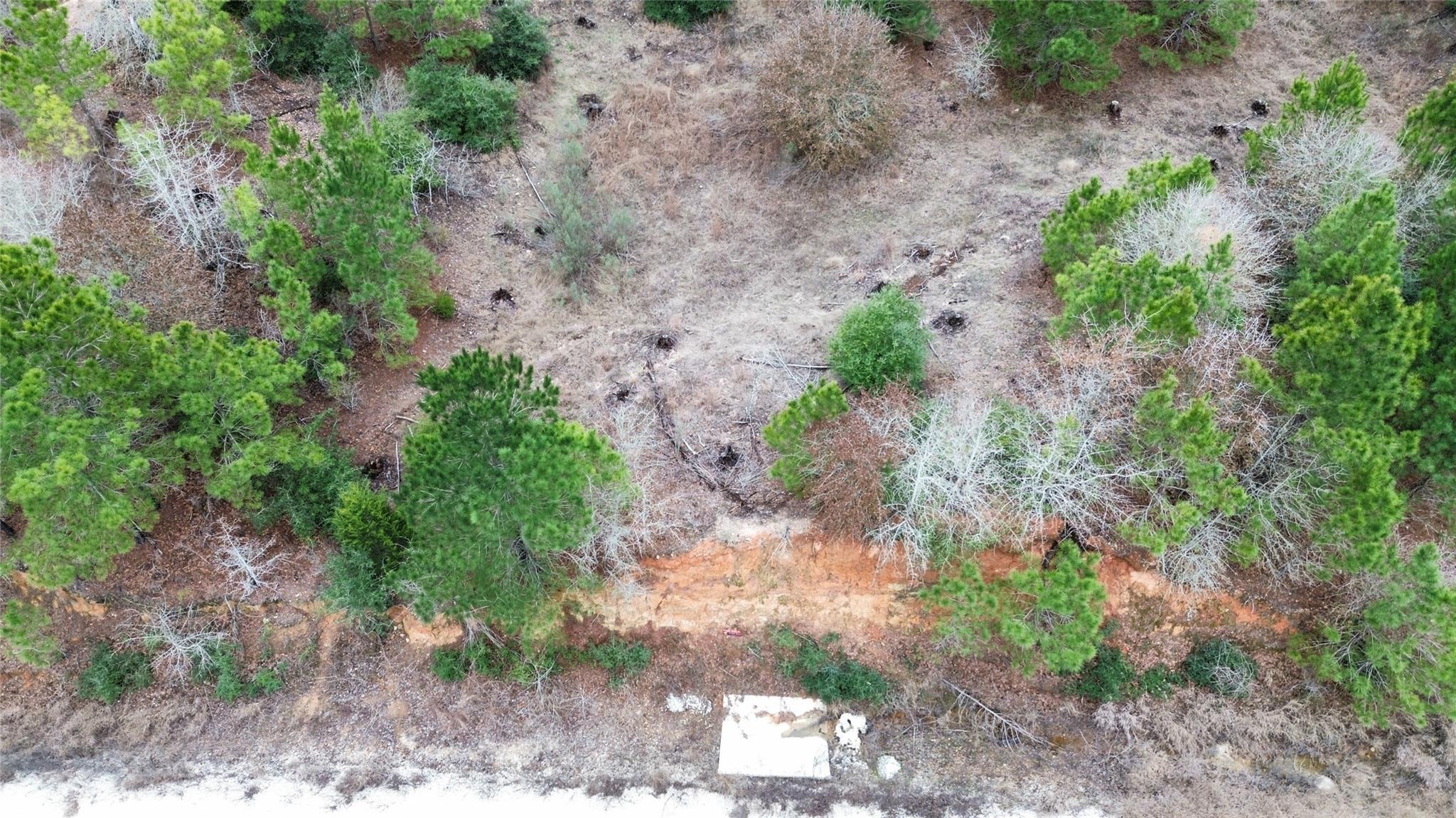 LOT 171 / R32192  Keo Kea Ct, Bastrop, TX 78602 — photo 1