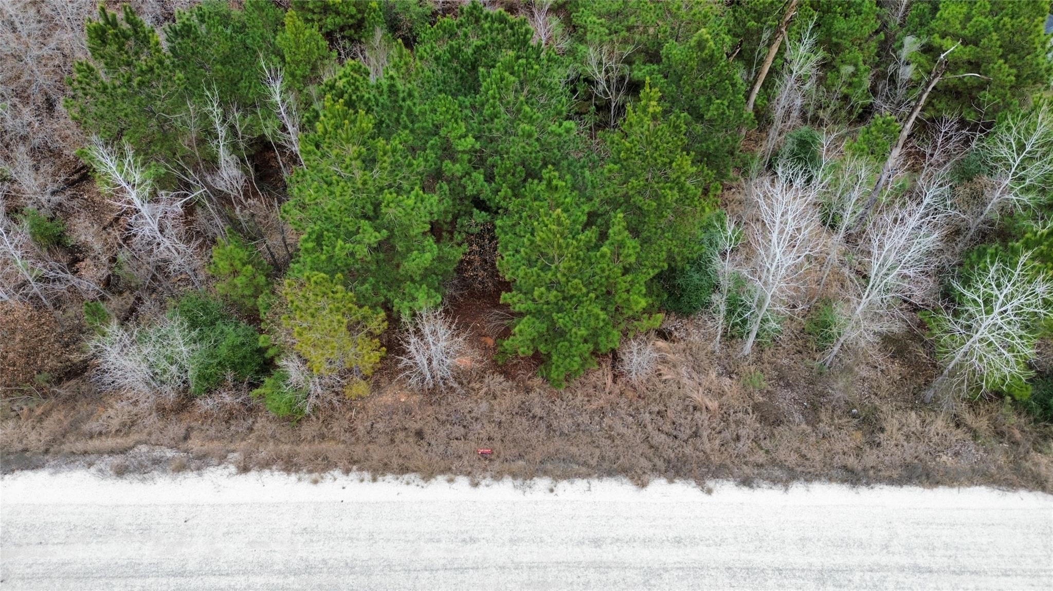 LOT 186 / R32327 Keo Kea Ct, Bastrop, TX 78602 — photo 1