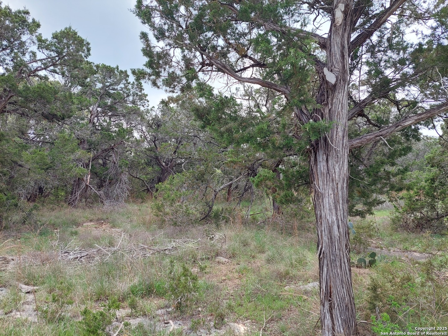2170 Fuller Dr, Canyon Lake, TX 78133 — photo 1