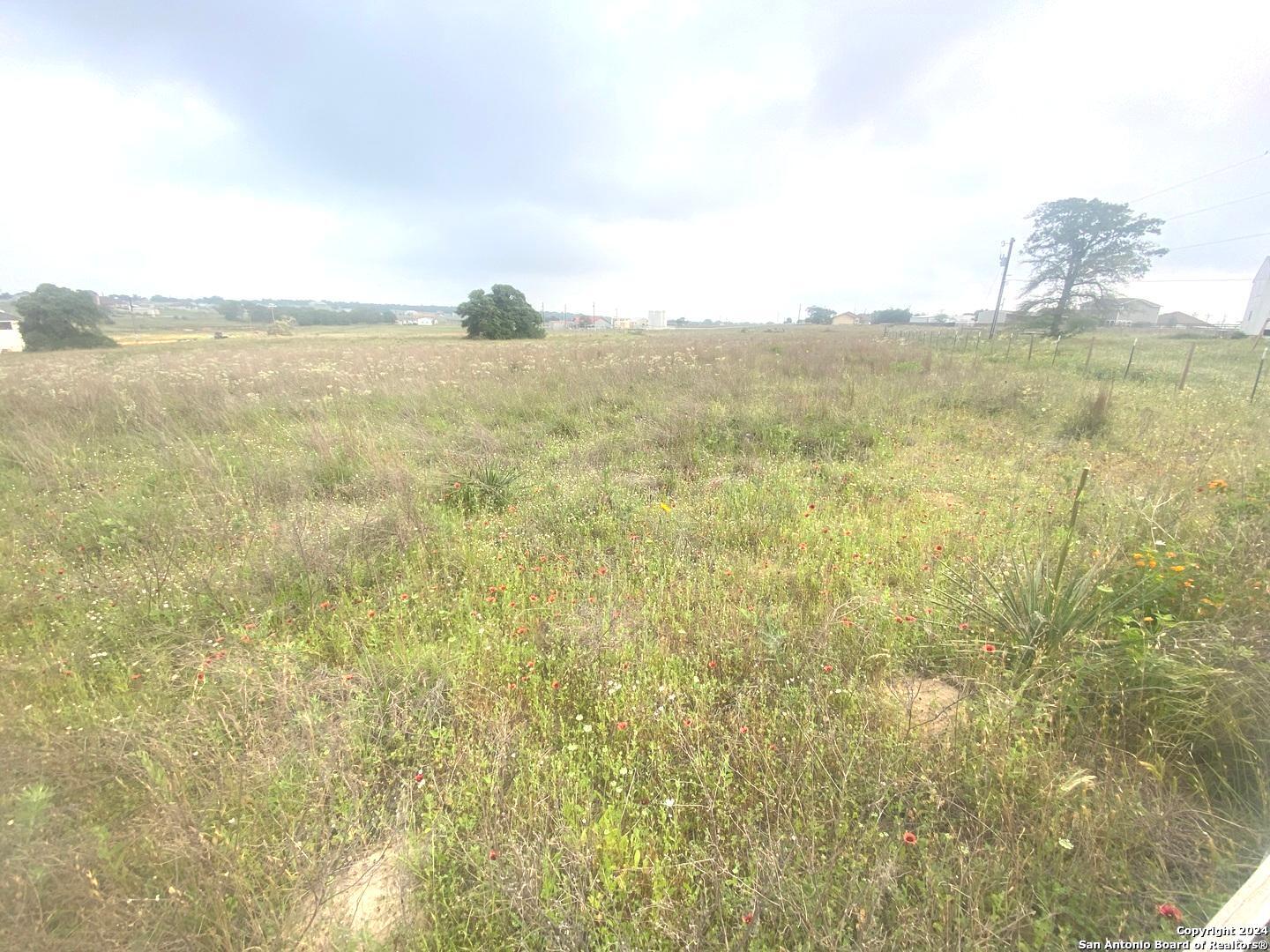 618 LAKERIDGE LN, La Vernia, TX 78121 — photo 1