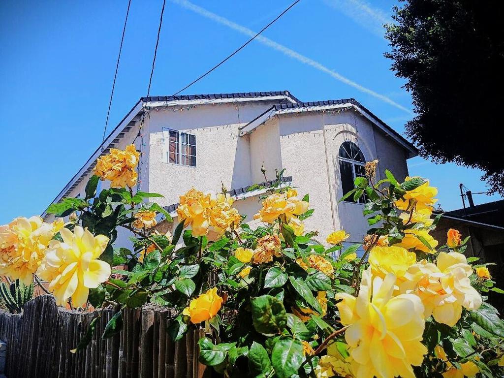 230 232 W 15th Street, San Pedro, CA 90731 — photo 1